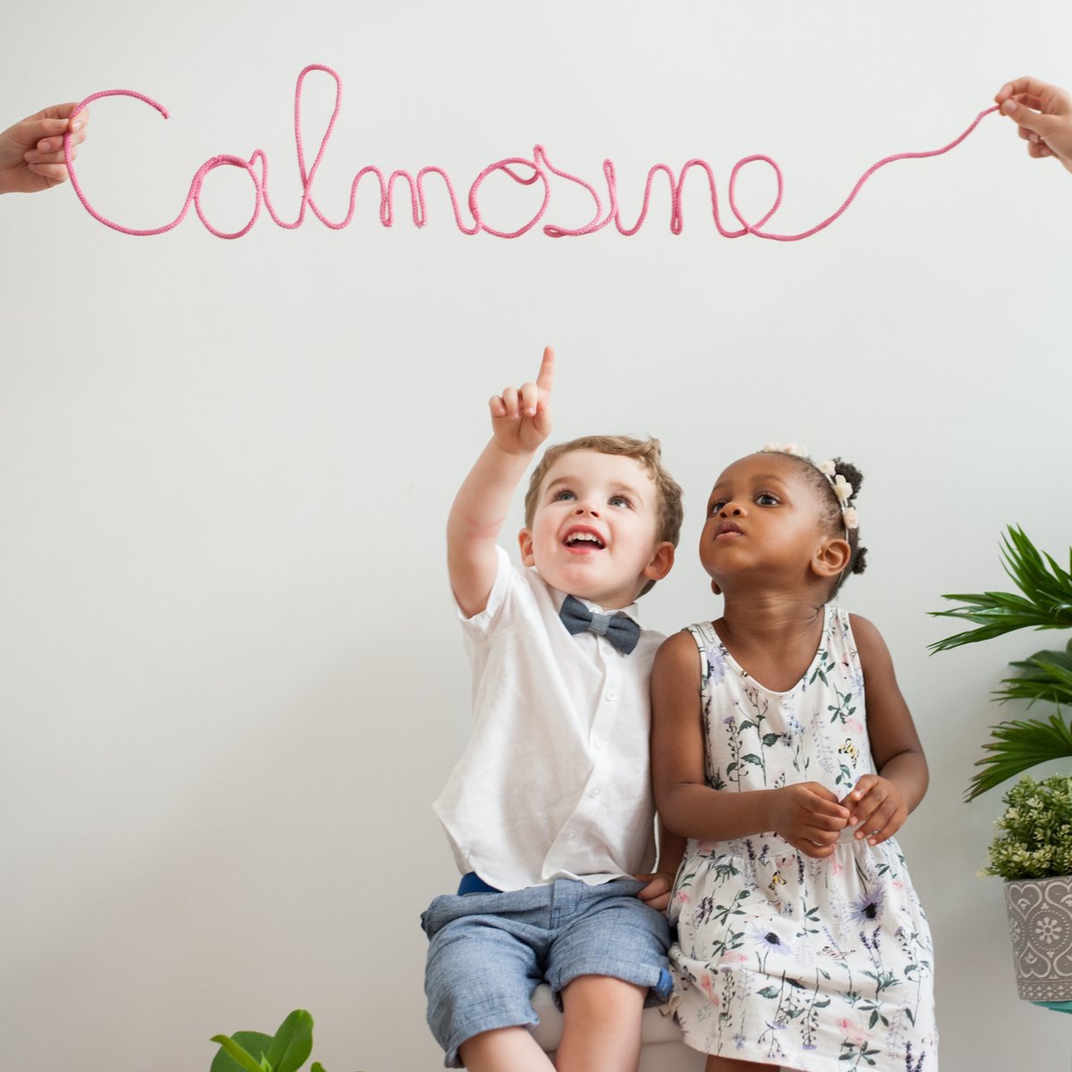 Calmosine's tweet photo. 💮 Follow us on Instagram: https://t.co/L6Avmo6jvz 💮 https://t.co/ZPEzJkayst
