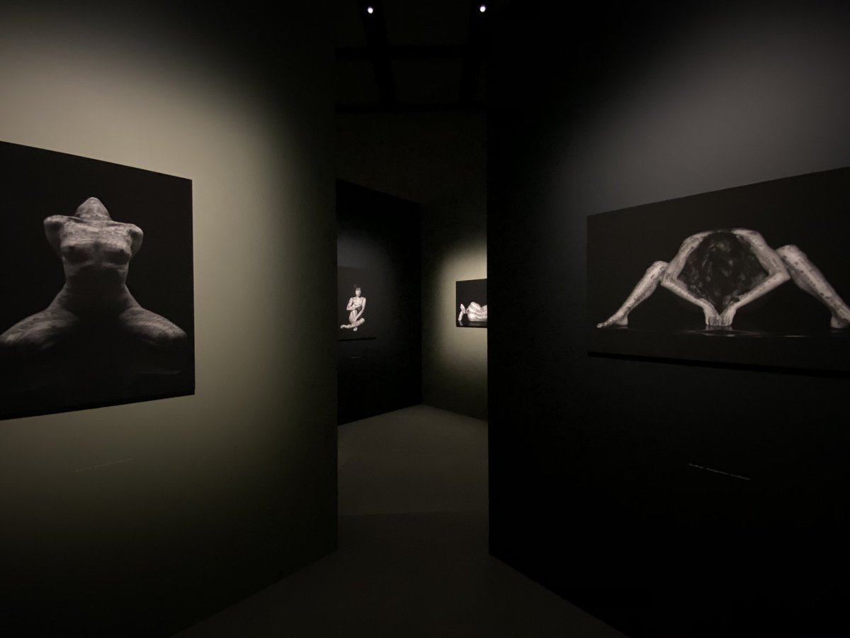 nobi's tweet photo. #Bodyscore — the soul of signature
| Jacopo Baboni Schilingi
-2/16まで
https://t.co/MxeCowEJRU https://t.co/o1Za4KlJDZ