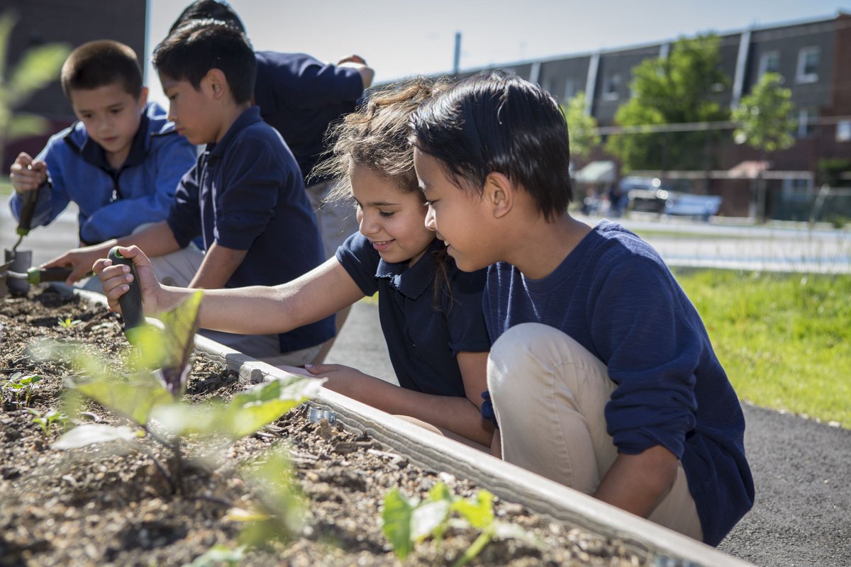 FAOFellows's tweet photo. Want to help communities respond to climate change? Make it happen as an FAO Schwarz Fellow at The Trust for Public Land in Philadelphia! @tpl_org Learn more at https://t.co/cVyu8tXnpS. #leadthechange #socialimpact https://t.co/pVQkq4Awe3