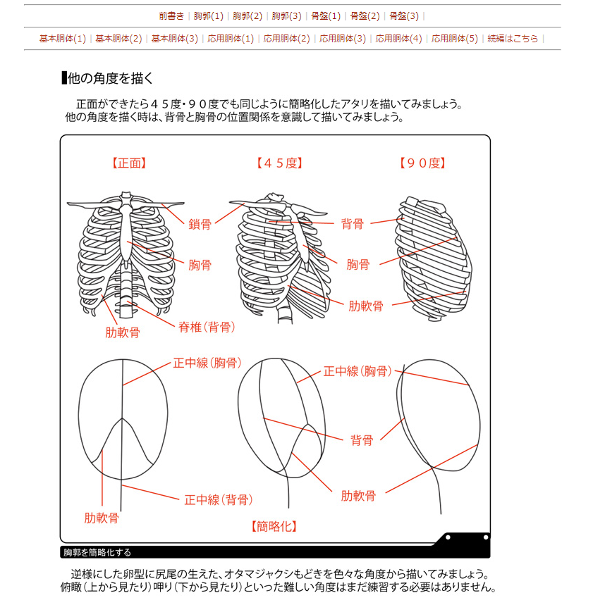 目指せ絵師様 立ち絵を卒業したい人の為の 頭部と胸郭部を使った奥行のある構図 目指せ絵師様 立ち絵を卒業したい人の為の 頭部と胸郭部を使った奥行のある構図