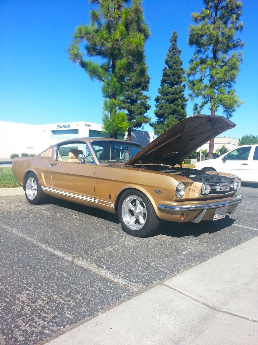 Cal_Mustang's tweet image. #throwbackthursday to our old showroom and this amazing 1966 Mustang Fastback GT. 1964-04 Mustang parts and accessories are now available at classicindustries.com/mustang
Be sure to DM us photos of you and your Mustang for a chance to be featured. #classicindustries #mustang
