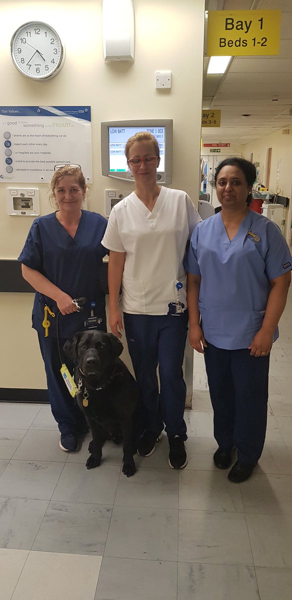 EDRU have been going the extra mile supporting their patient by walking his guide dog as inpatient