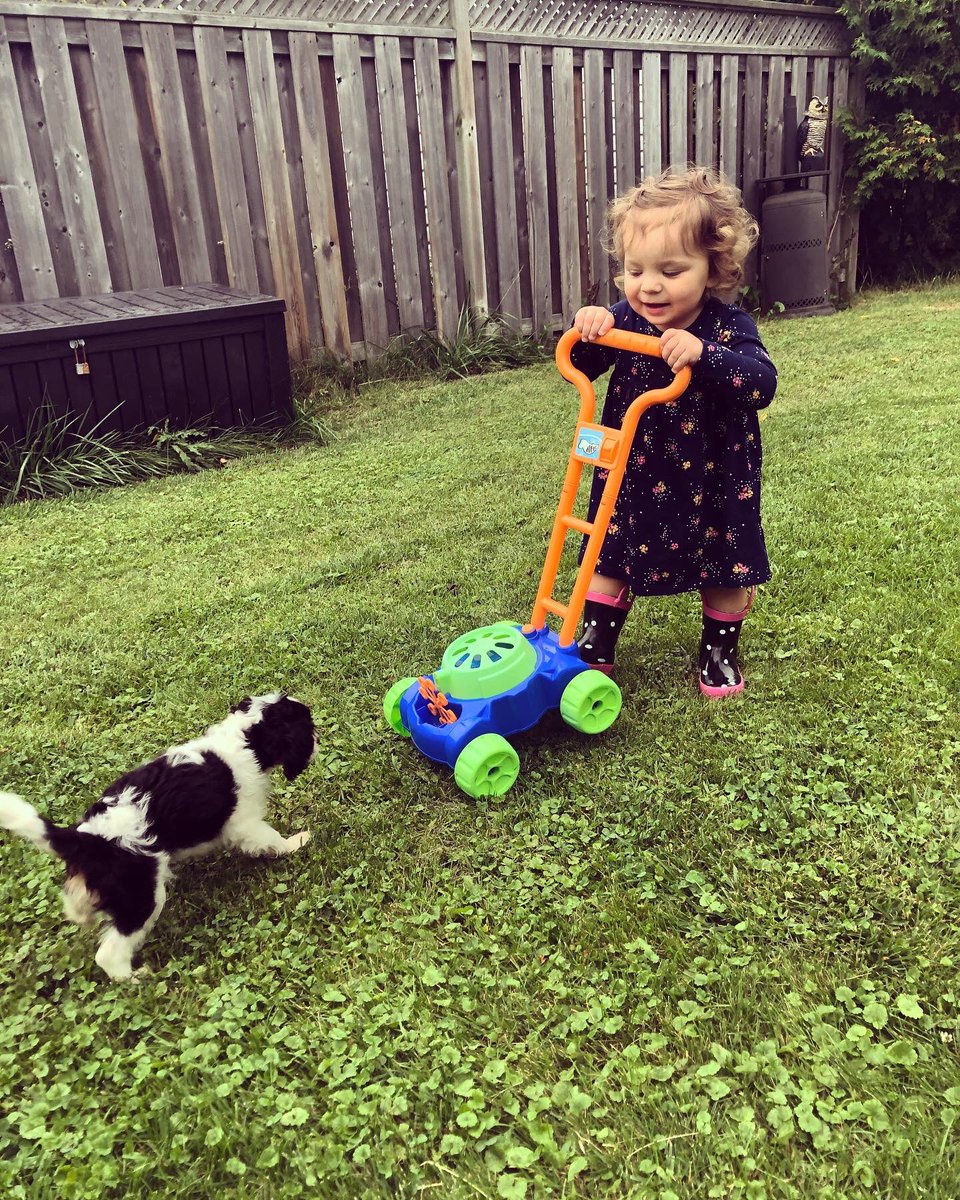 duff_pamela's tweet photo. You two fill my heart with so much happiness 🥰 https://t.co/yJCYuKjIX1