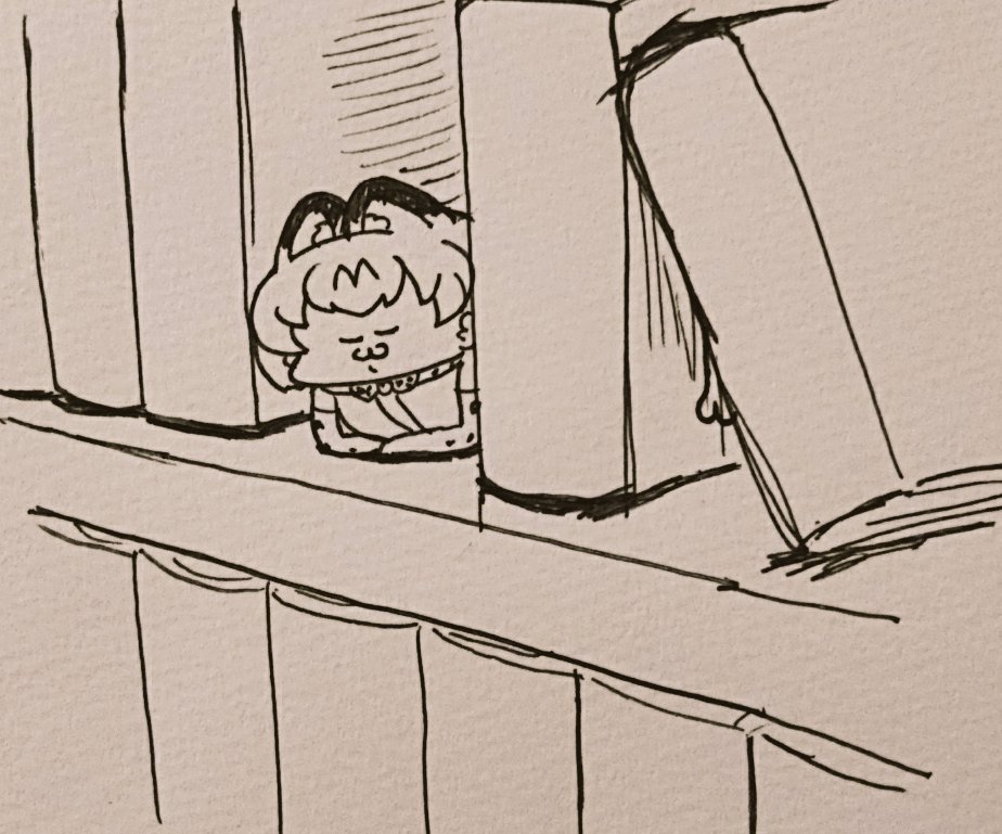 本棚 