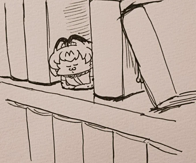 本棚 