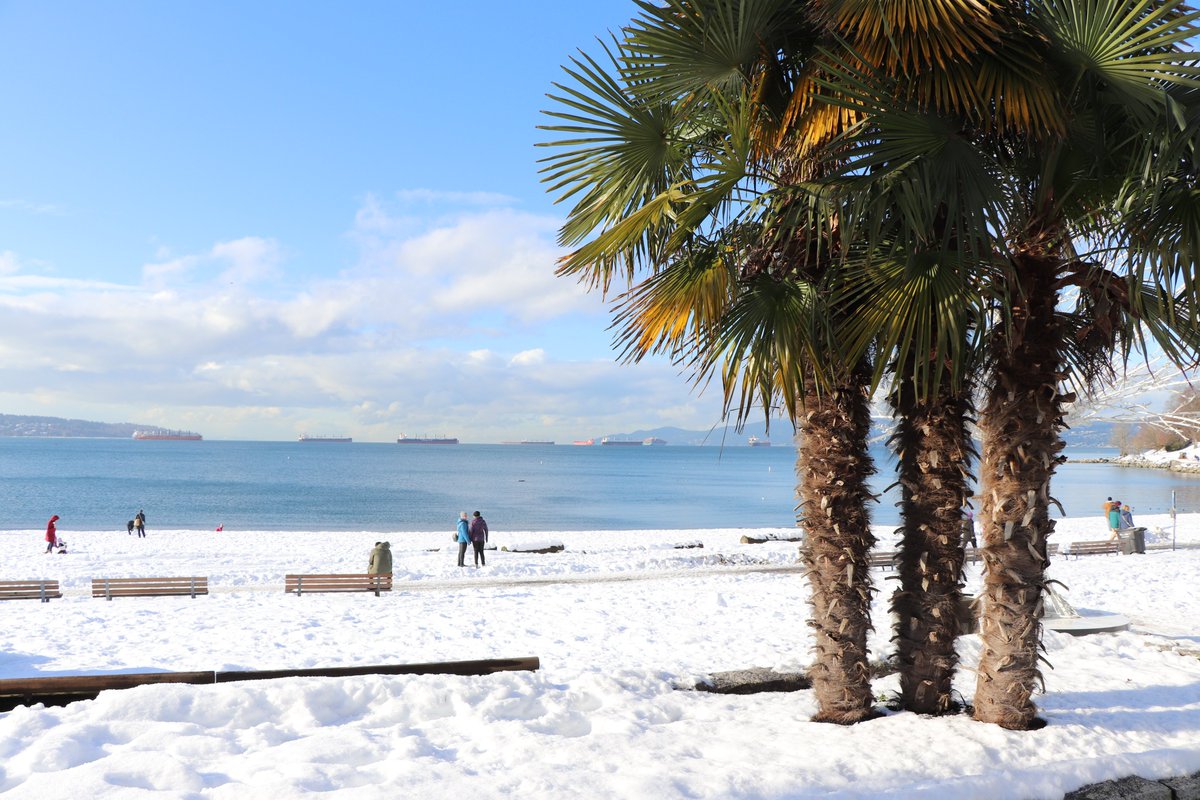 Vancouver Board of Parks and Recreation tweet media