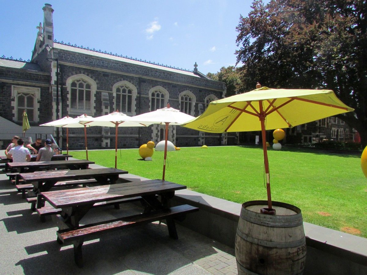 MilesConstruct's tweet image. Miles Construction is proud to have completed the fitout for the @cellardoor Christchurch's Newest Wine Tasting Room. 

#cellardoor #christchurch #fitout #construction