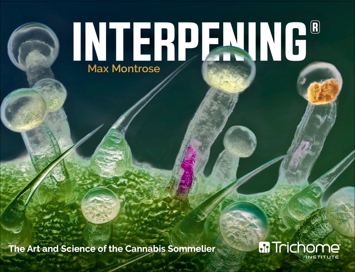 TexasNORML's tweet photo. FYI #Austin: Trichome Institute will be hosting an #Interpening Course in #ATX. Save 10% on the #Austin class if you use discount code "NORMLTX".

Info: https://t.co/zwChK2dyGr

#Texas https://t.co/5kiWZFkhLU