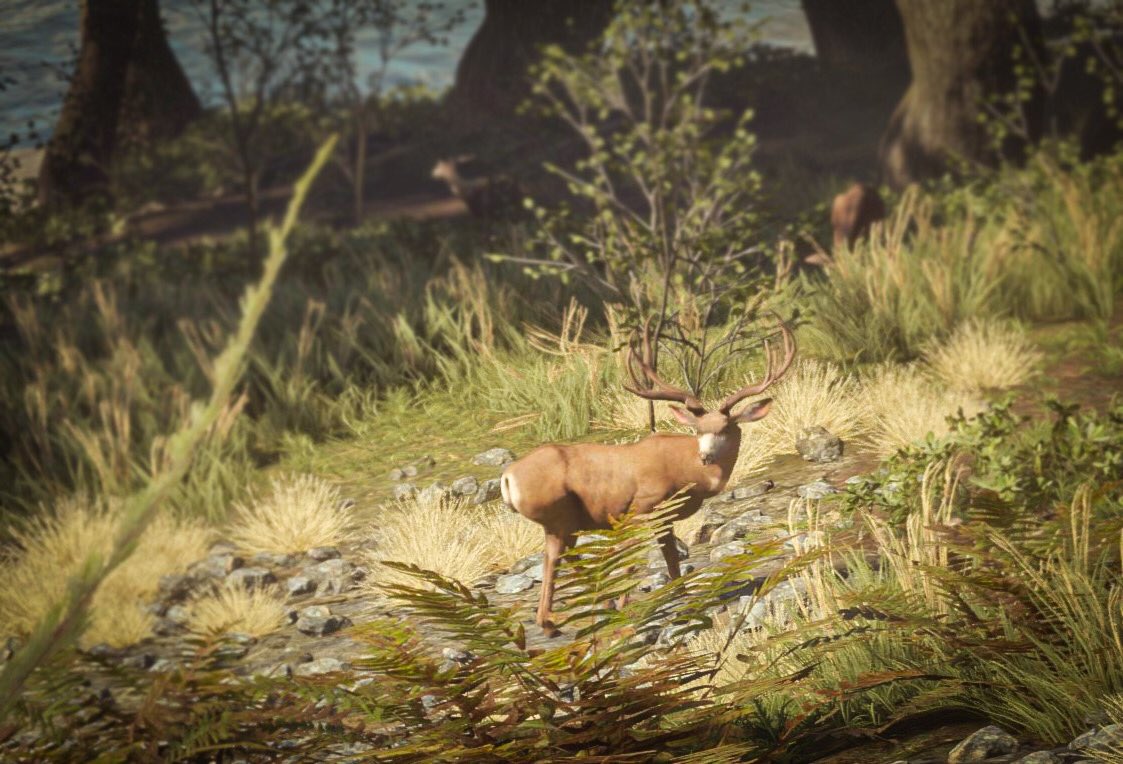 hub_bz's tweet photo. Dang Boi!! #blamezaggi is trending so well! Anddd we found ourselves a Diamond Water buffalo and Diamond Muledeer within the first 20 minutes of the 15th Friendsday Wednesday stream! Thanks for letting us use your special map, #flinter! 😉 jk, there’s no special map. or is there? https://t.co/cnwk83khvq