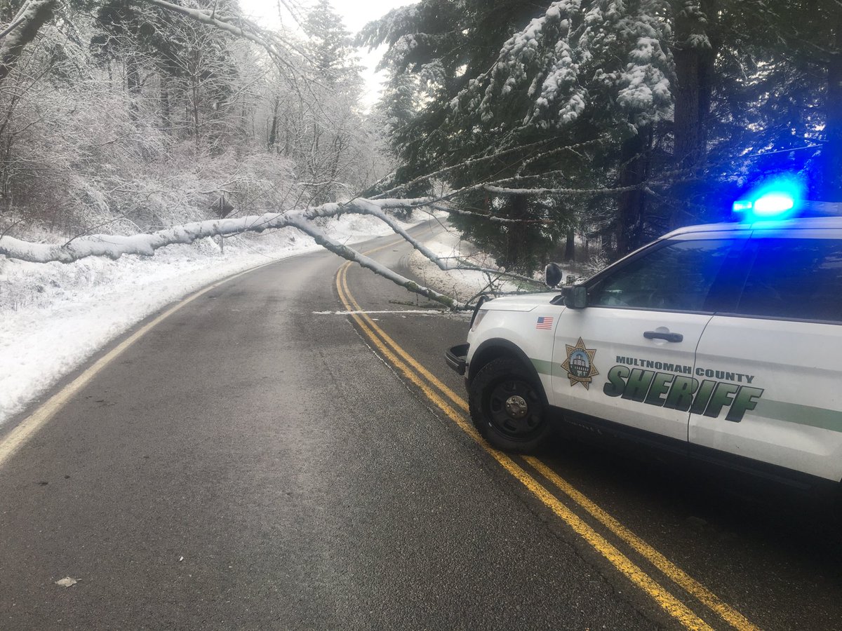 MultCoSO's tweet photo. Talk about a fast response!
It took MCSO Deputy Kaiser 5 minutes to get to this down tree on #HCRH and @OregonDOT 15 minutes to clear the road for travel!
Excellent work during a busy time! https://t.co/JJtw4scHFN