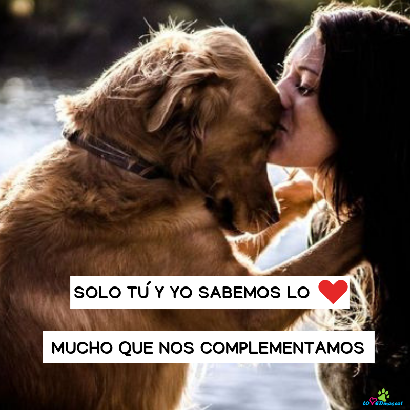 petloveplus's tweet photo. #ComplementoPerfecto, #AmorSincero, #LovedMascot. https://t.co/VabcdUhxzh