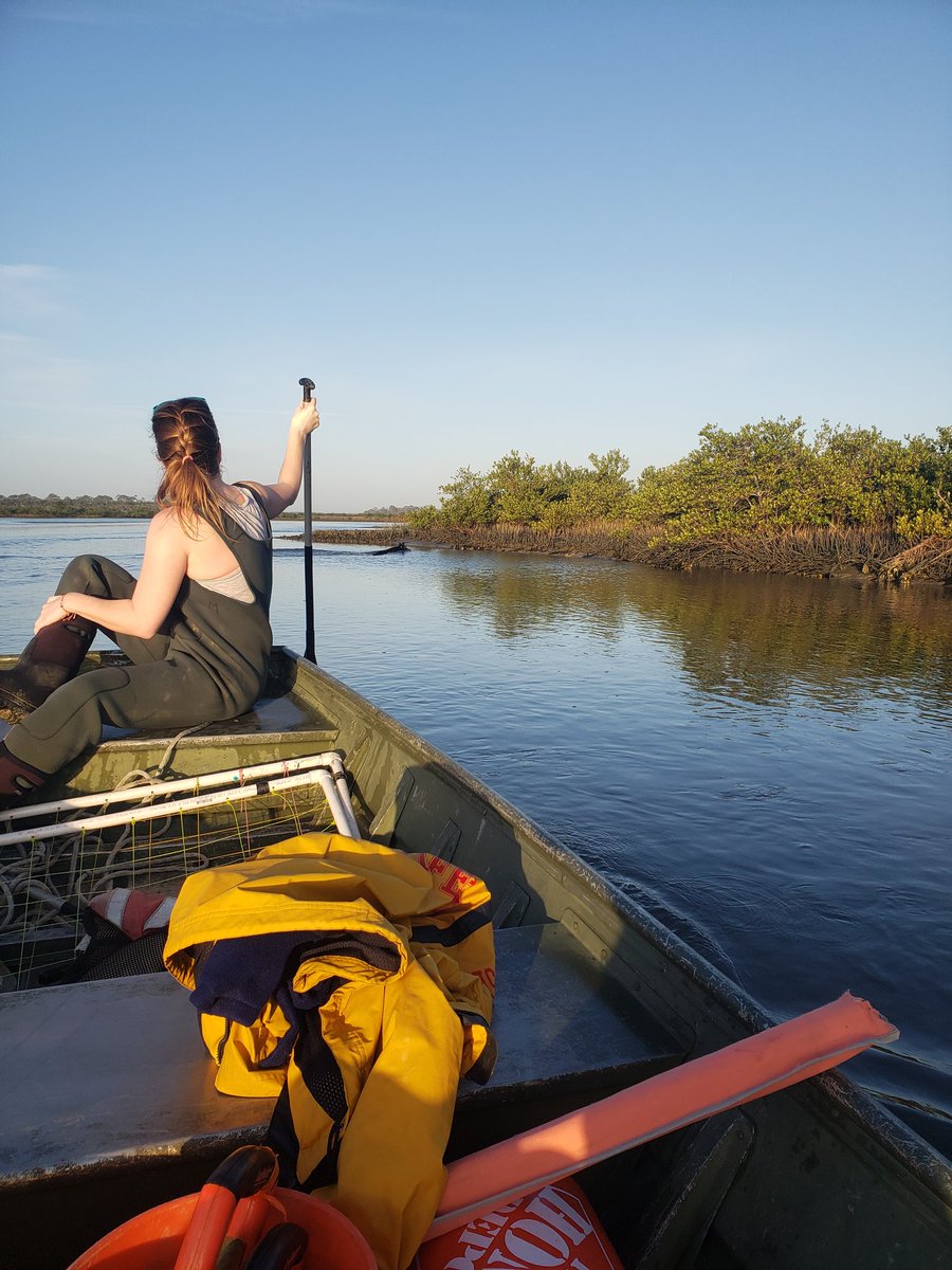 Kimbro Lab tweet media