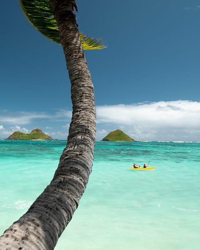 joinwayv's tweet photo. Tag a friend!
Download the app now 📱 https://t.co/gRcS2a8E9O
Follow @joinwayv for more! 🌏
.
.
.
@addlinny @theyachtweek @theskiweek 
#joinwayv #travel #IWantTheBestJob #Instalove #likers #followers #lifestyle #mytravelgram #beach #sky #awesomeearth … https://t.co/pFTSbkx4K5 https://t.co/V2zSvK7e2l