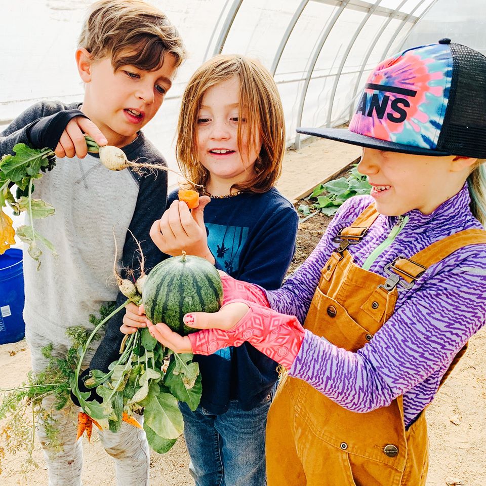 urbanrootsnv's tweet photo. #UrbanRootsFarmSchool starts up again on February 4th!

Farm School is an outdoor classroom at our #UrbanTeachingFarm for homeschoolers to get outside and make new friends.

More info: https://t.co/3wtDoPkXVw

#UrbanRootsNV #HomeschoolProgram https://t.co/7UKzwzfsga