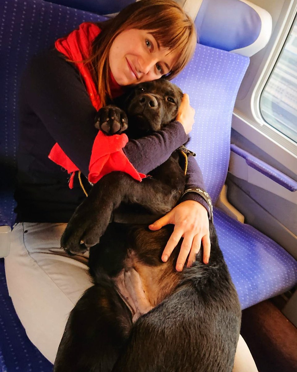 FuturChienGuide's tweet photo. 🎄 Mon noël avec Onyl
Malgré son jeune âge, le petit Onyl des @ChienguideParis m'a suivi partout en s'adaptant super bien aux différents endroits où je suis allée 😊
Plus de détails ➡️ https://t.co/Vtxt7jVUmx 🎉
#chienguide #chiensguidesparis #futurchienguide #OnylChienGuide https://t.co/ZiQzW5Yawz