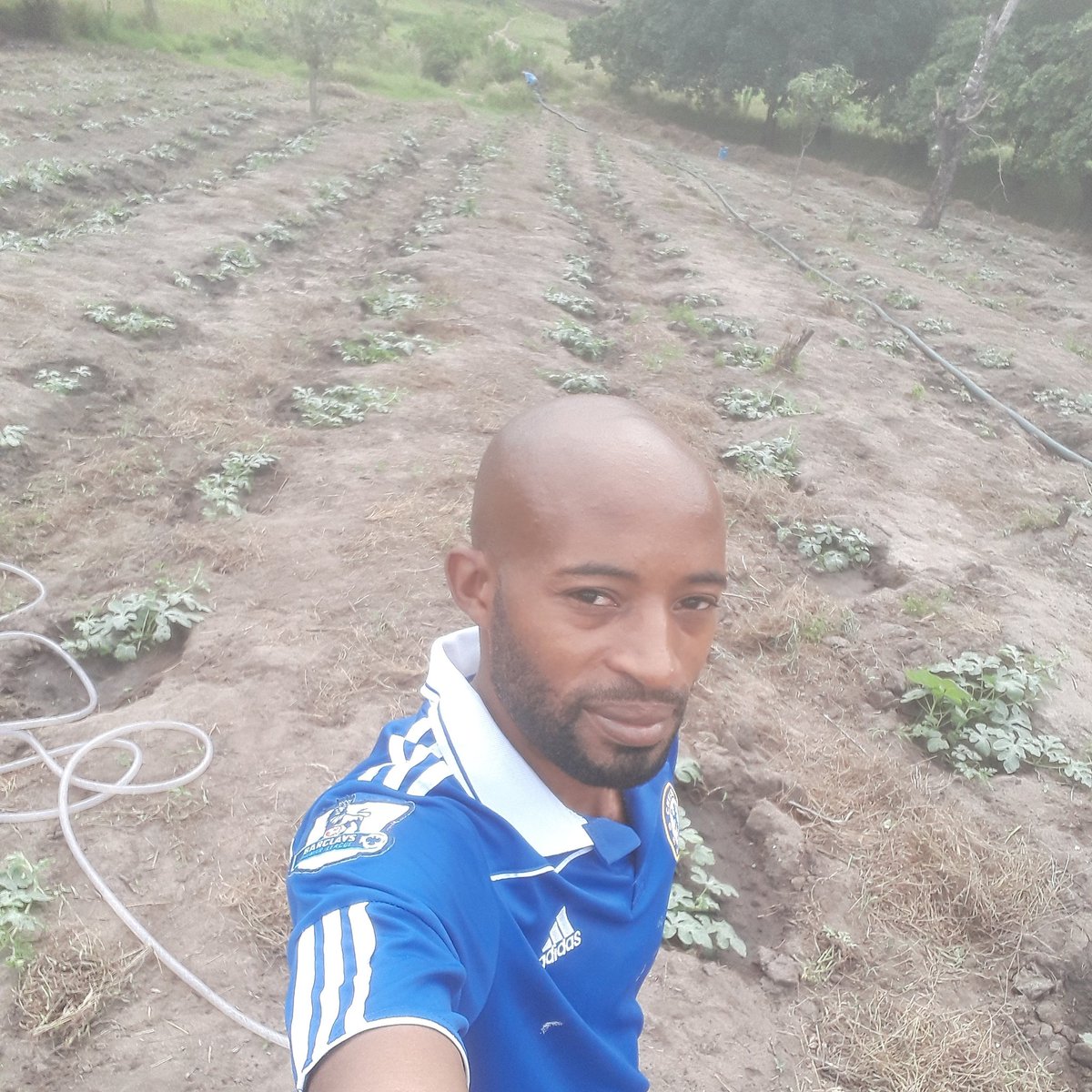 NjombeProducts's tweet photo. "Tukiaminicho ukitaka kufanikiwa usiangalie wala kuhesabu mara ngapi umeshindwa lakini angalia ni ujuzi upi umeupata wa kukuwezesha wewe kufanya bora zaidi"
#NjombeProductsFarm
#NjombeProducts
#StandToWin
#NeverGiveUp https://t.co/aOYL53BZOC