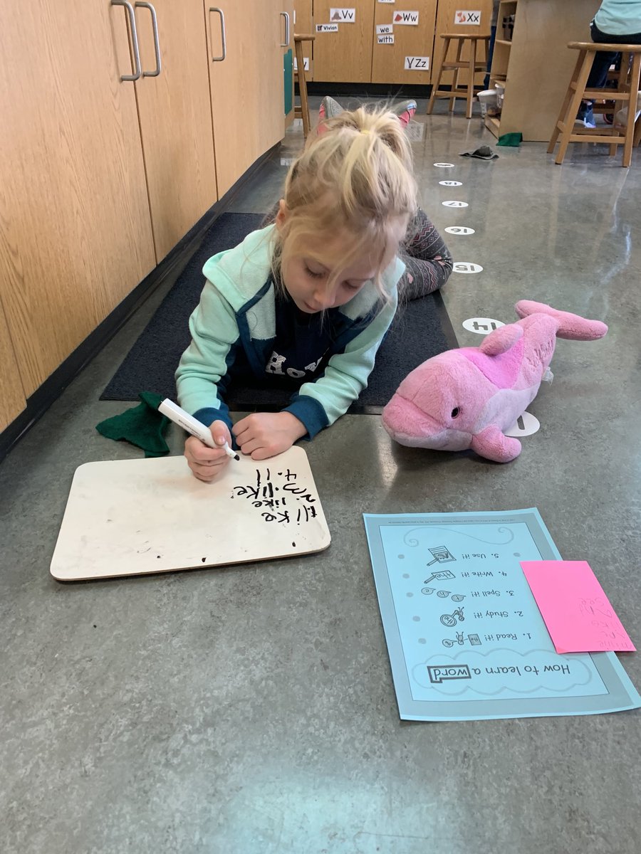 BloominKinders's tweet photo. At Phonics School, our stuffies are learning their snap words ⁦@howard_huskies⁩ https://t.co/oiYSxk5tBf