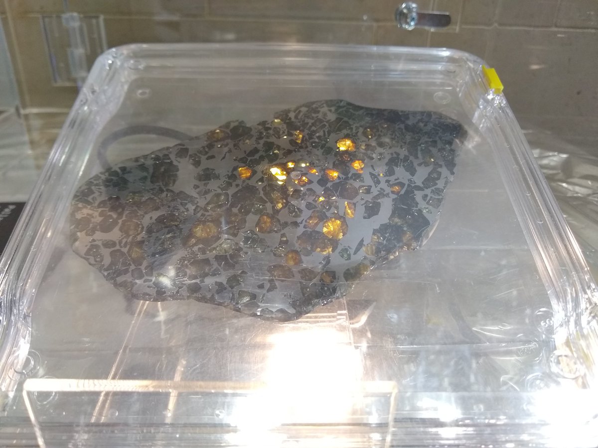 Meteorites and impact related rocks! I'll be helping out at the #MuseumCardiff late night event!

Who wouldn't want to ogle at this beautiful pallasite?
#museumlates #dinolates