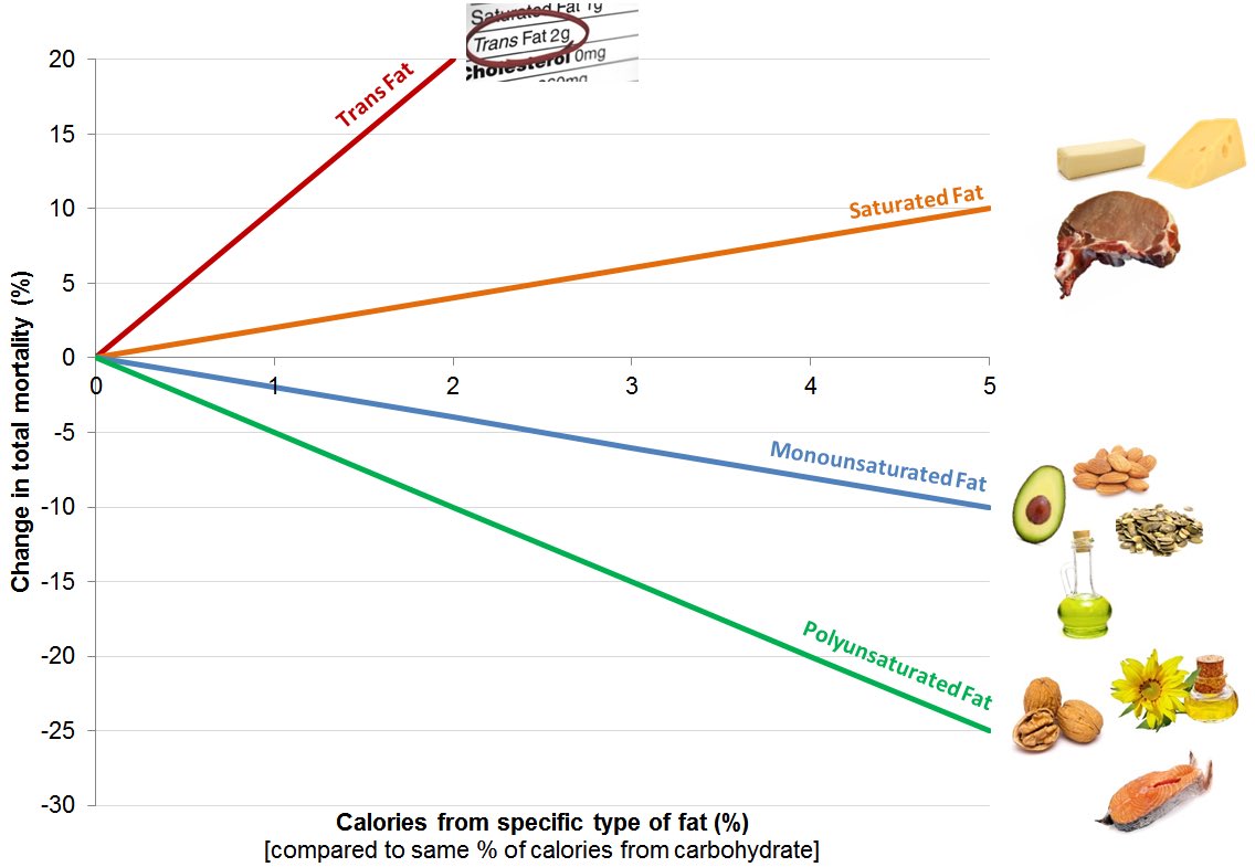 cardio10s's tweet photo. @DBelardoMD @vegsource Cutting out animal products helps everyone, and perhaps that’s why they are all successful enough to promote their diet plans and get into arguments? Let’s publish the differences (preferably in https://t.co/UJGY19QNYR!) and do randomized trials where the data is not clear? https://t.co/b08lz7QziN