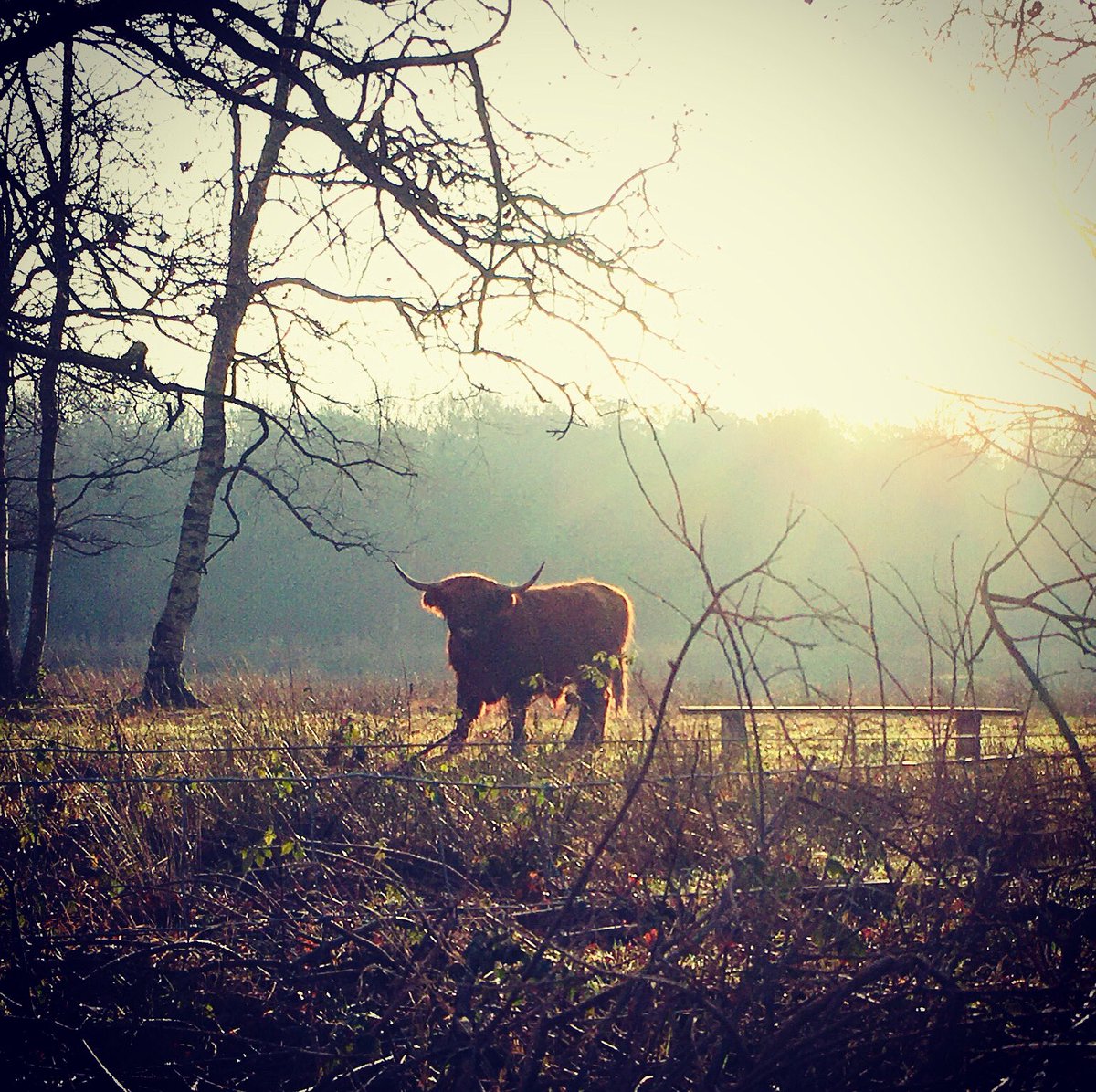 Drenthe is mooi hoor 😉 #landschapspracht #drenthe #platteland