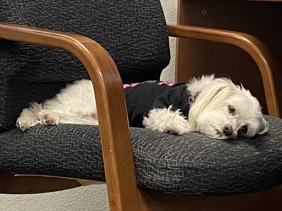 caplin_alan's tweet photo. Rainy work days. @StarkPrincipal @estradac_cfb https://t.co/qd0Ee2fBcA