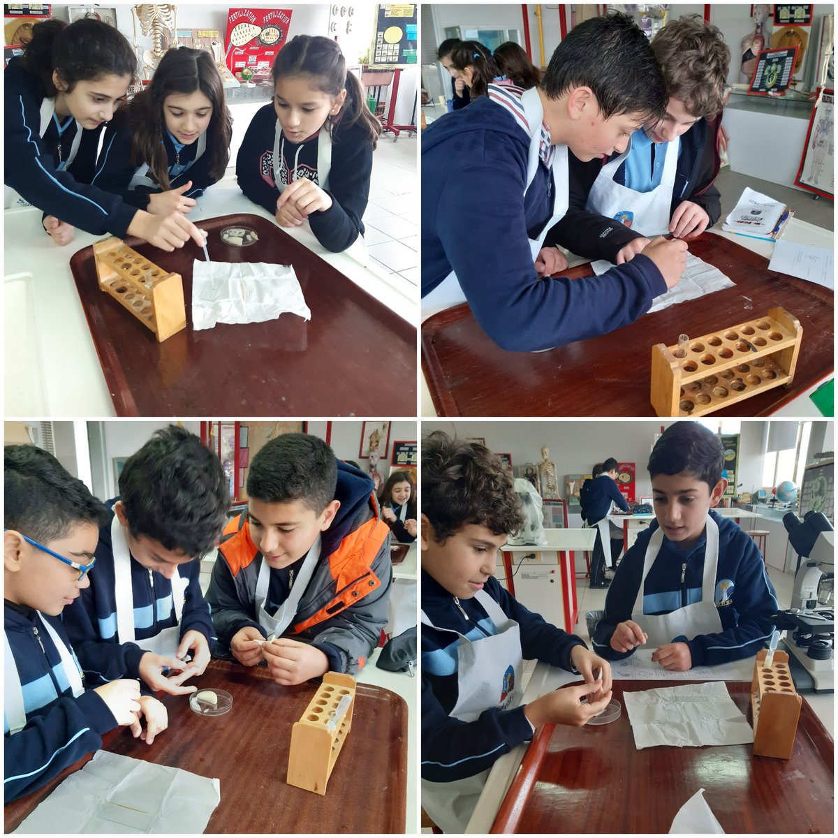 Grade6A students prepared their own plant cell slides and observed them using the microscope <a href="/Hhhsinfo/">Houssam Hariri HS</a> <a href="/DidiSaleh10/">Diana Saleh</a> <a href="/jana_abuorm/">jana abou orm</a>