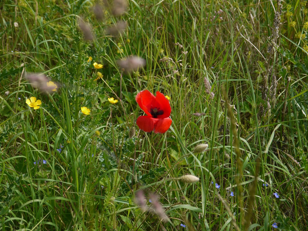 Book now to guarantee your pitch <a href="/walkmillcampsit/">Walkmill Campsite</a>  at your favourite time of year <a href="/2northumberland/">Visit Northumberland</a> <a href="/VisitNland/">Visit Northumberland</a> <a href="/VisitAlnwick/">Visit-Alnwick</a> @WarkworthNLand  <a href="/cool_camping/">Cool Camping x Hipcamp</a> <a href="/CampsitesUK/">Campsites.co.uk</a> <a href="/FriendlyClubMag/">Camping&Caravanning</a> walkmillcampsite.co.uk or email info@walkmillcampsite.co.uk