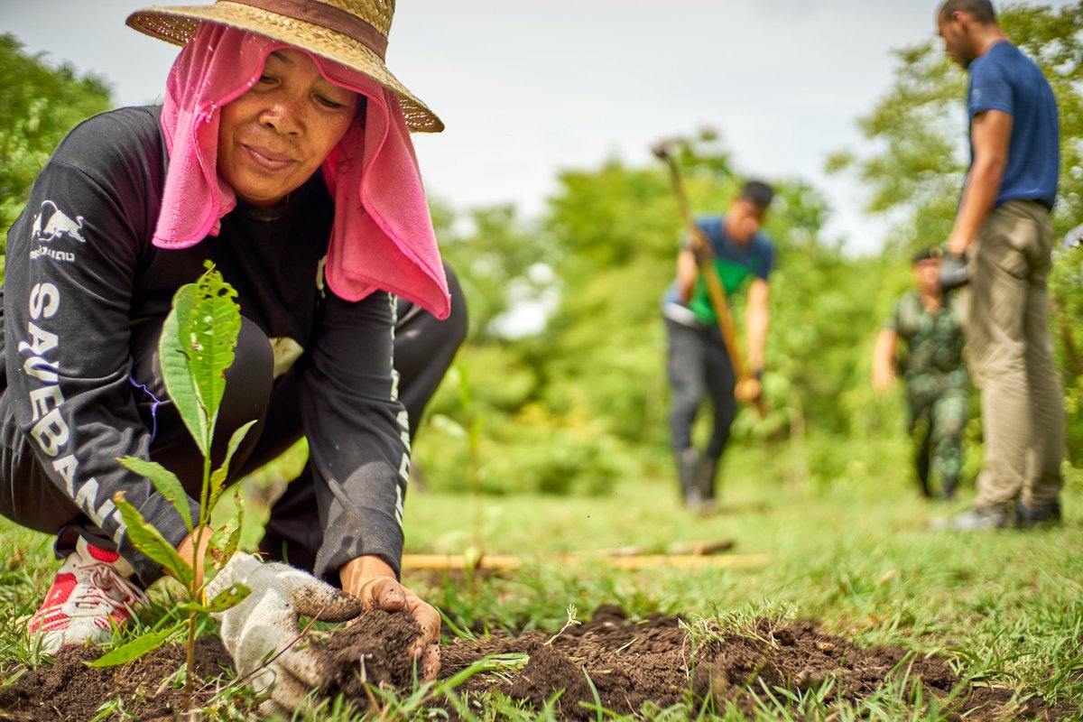 EarthworksDet's tweet photo. For everything there is a season, and a time for every matter under heaven: a time to be born, and a time to die; a time to plant, and a time to pluck up what is planted.

Ecclesiastes 3:1-2 https://t.co/RJeKgJQInS