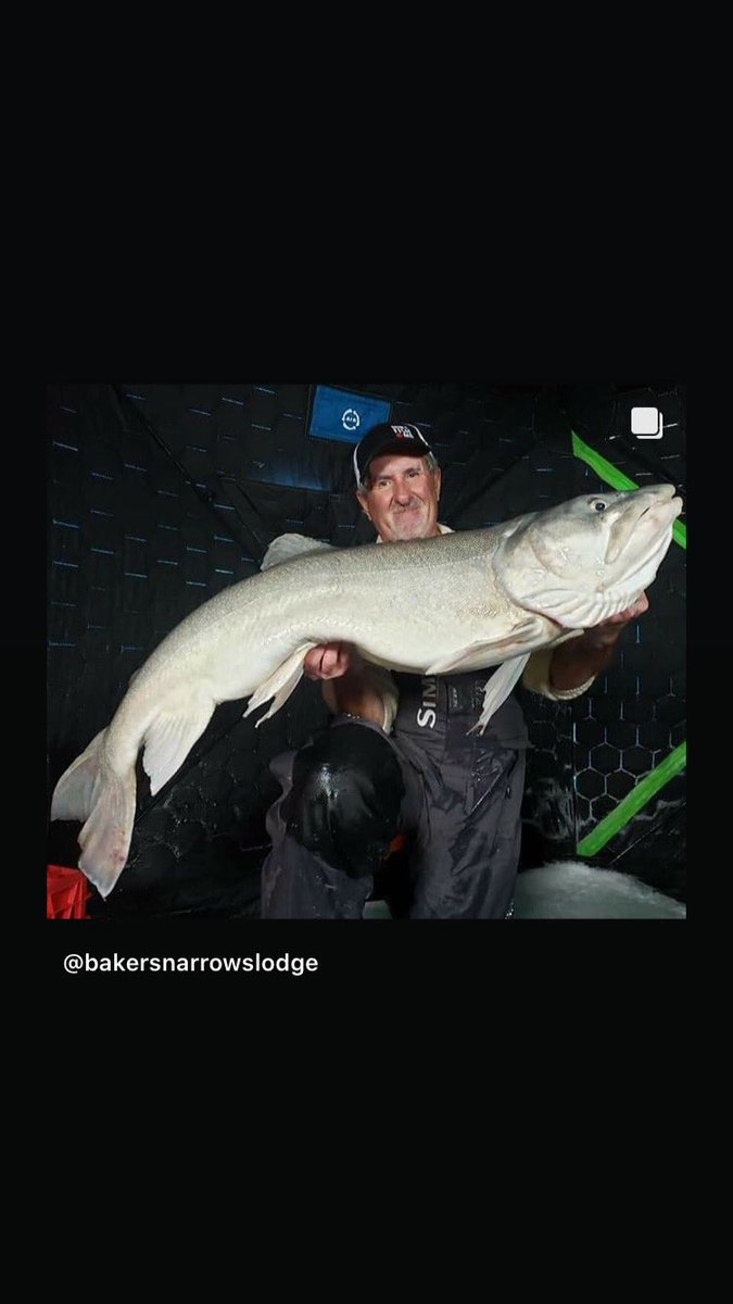 LodgeBakers's tweet photo. Hey guys! Bakers Narrows is coming to twitter! For anyone new, we are a Lodge based just outside Flin Flon, Manitoba in Canada. We offer Deluxe log cottages for rental, as well as snowmobile, boat and gear rentals. Looking for an All Inclusive Fishing get away? We have those too! https://t.co/01ANasGYMg