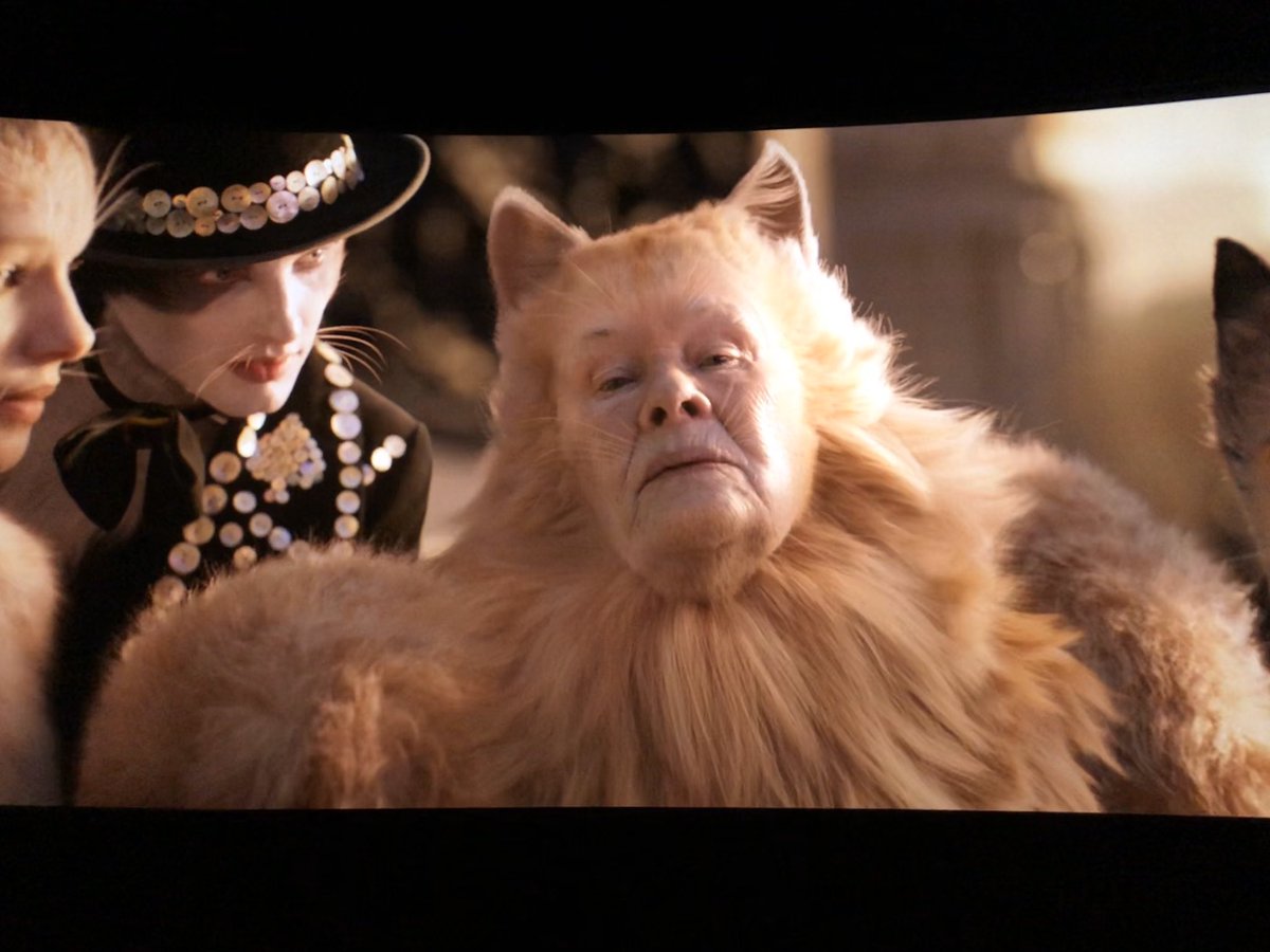Judi Dench as a cat is perhaps the funniest thing I’ve ever seen in my life. EVERY TIME the camera cut to her I laughed. It was like the first time, every single time.