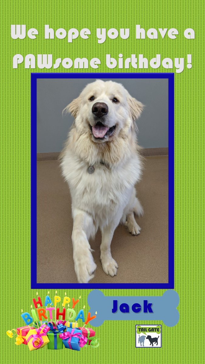 TailGateForDogs's tweet photo. Please join us in wishing JACK a very PAWsome 1st Birthday! Jack is a very sweet and handsome Colorado Mountain Dog who loves to play with all of his friends! #tailgatefordogs #daycare #birthdayboy #1stbirthday #birthdaypawty #jack #coloradomountaindog https://t.co/YENt3tI9vQ