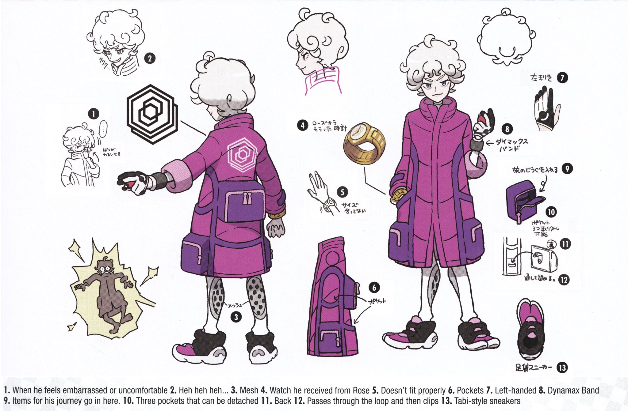 Pokemon Sword and Pokemon Shield GALAR ART Book Illustration