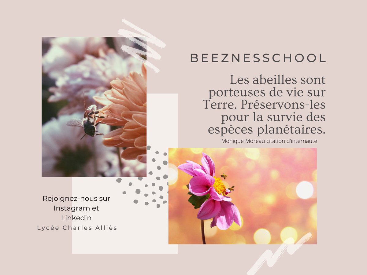 Beeznesschool tweet media
