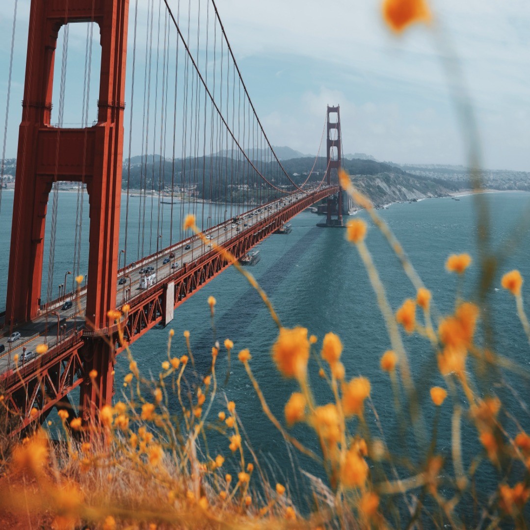 📸 instagram.com/p/B7ZCVZApL2b/ via tweetgram.me