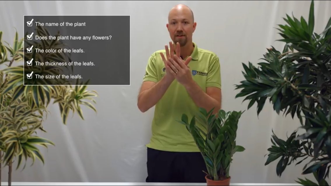 saudi_meem's tweet image. #tips_and_tricks #indoor_plants
youtu.be/nhhIu5PTWeE
العناية بالنباتات الداخلية:
١- حجم الأوراق
٢- لون الأوراق
٣- كثافة/ ثخن الأوراق
٤- هل النبات مزهر
