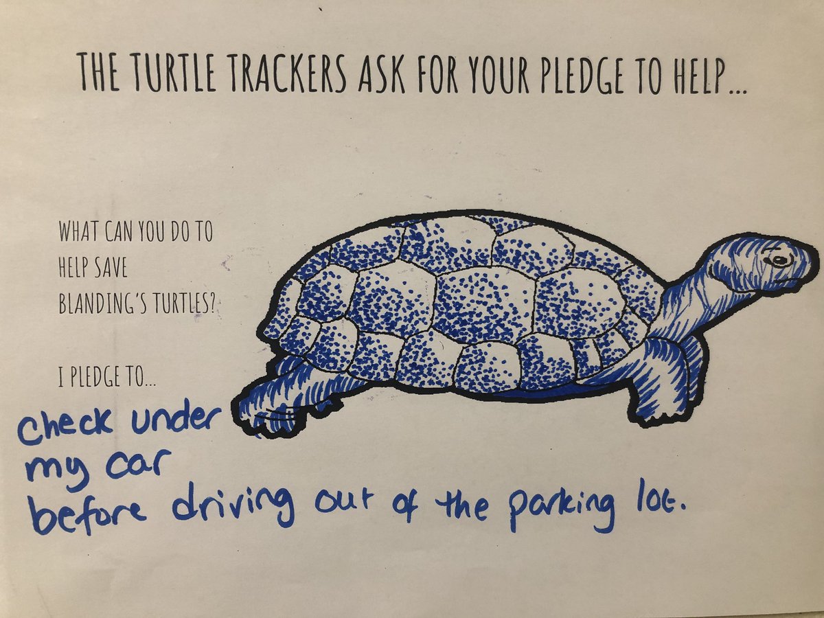 AHS Turtle Trackers tweet media