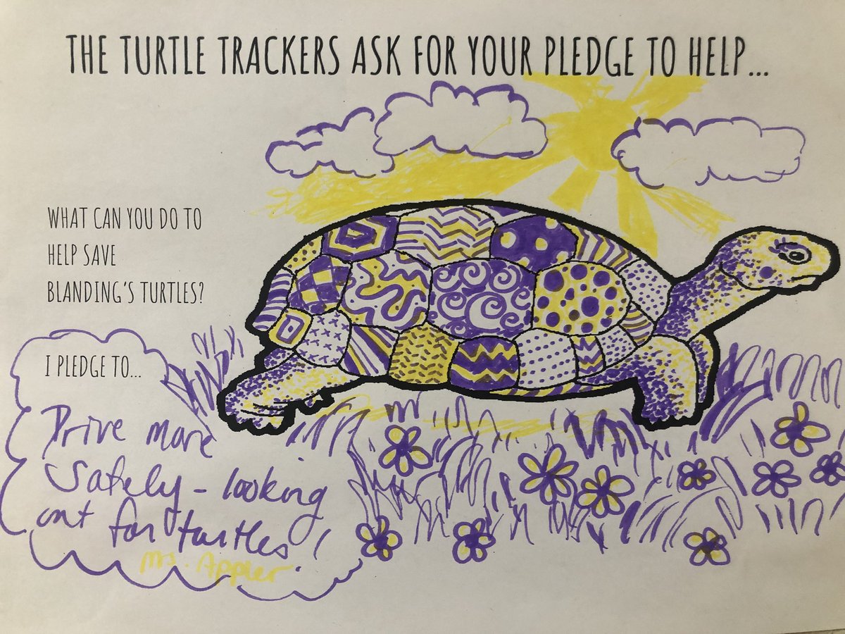 Shoutout to these fabulous turtles teachers made us at the staff meeting!!! #sograteful #growingourwall