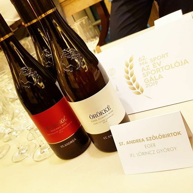 St. Andrea Borászat tweet media