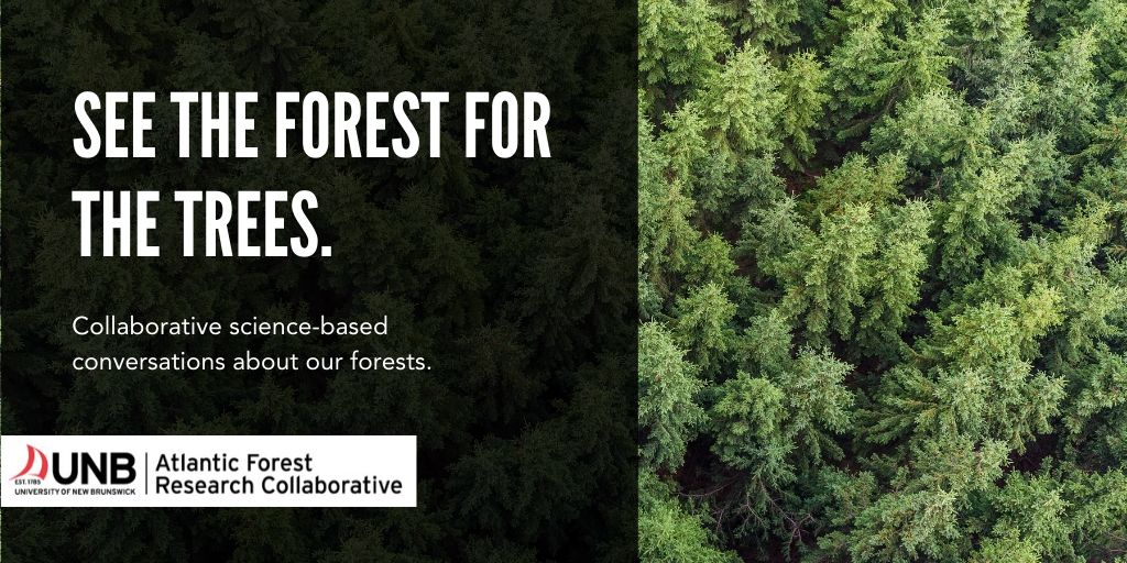 Looking for balanced, credible and science-based information about our forests? Check us out: unb.ca/afrc #unb #research #nsforests #nbforests #novascotia #newbrunswick