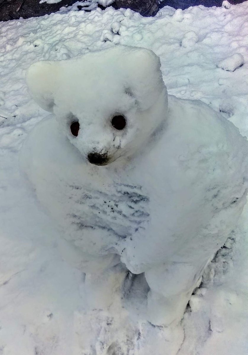 gilgitee11's tweet image. Snow Arts
Gilgit Baltistan  the land of beauty 
The oand of mountains