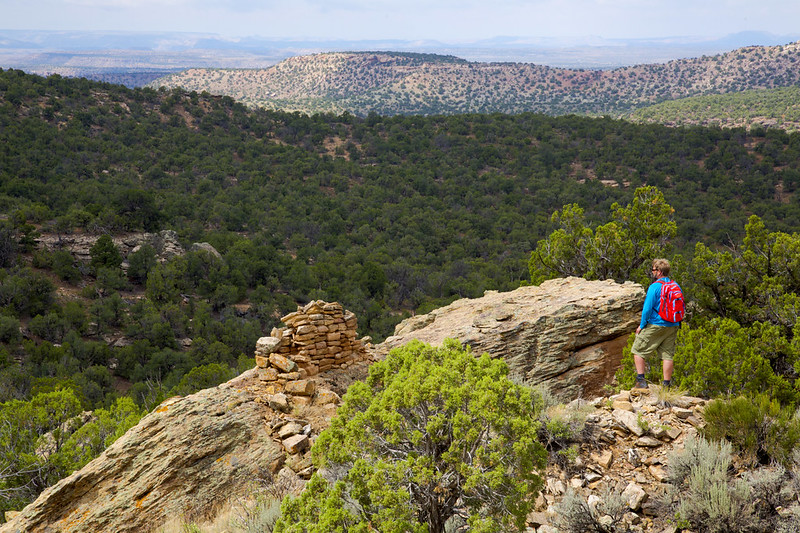 Visitor enjoys views at Canyons of the Ancients National Monument / Bob Wick
