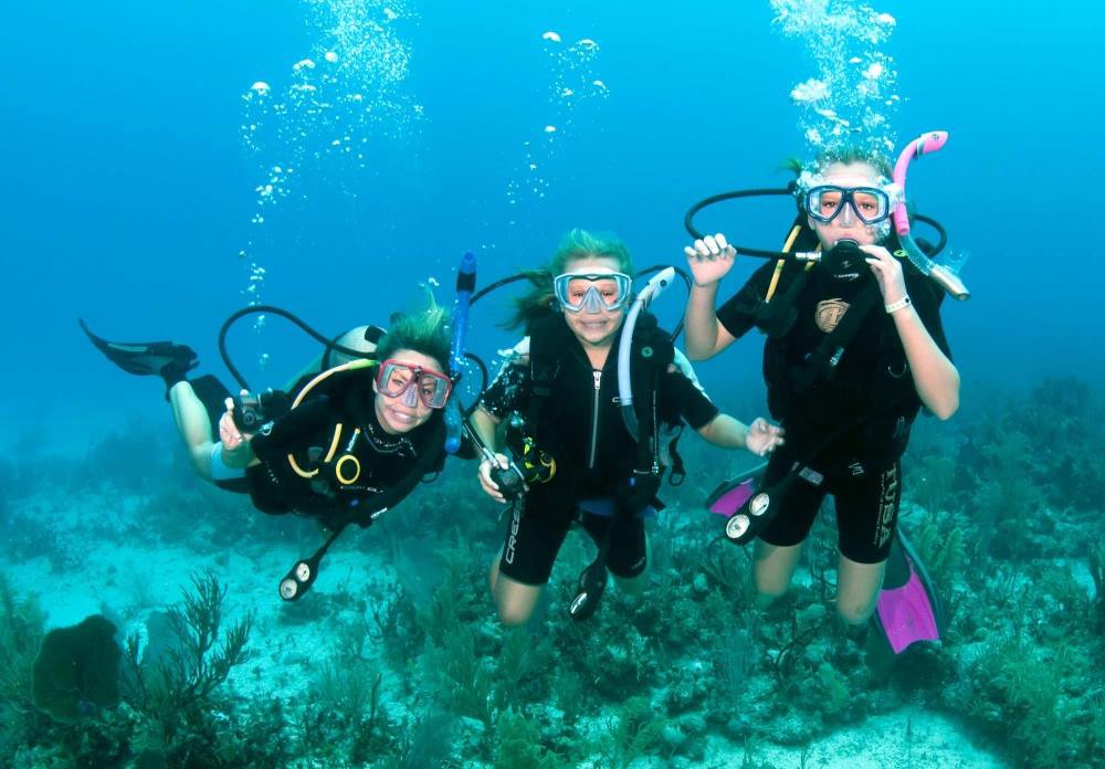 It's time to plan your Spring Break dive trip to Roatan! 

Our PADI 5-star valet dive service will not disappoint as our instructors take you to some of the best dive sites in the Mesoamerican Reef 💦

Book now: barefootdivers.com