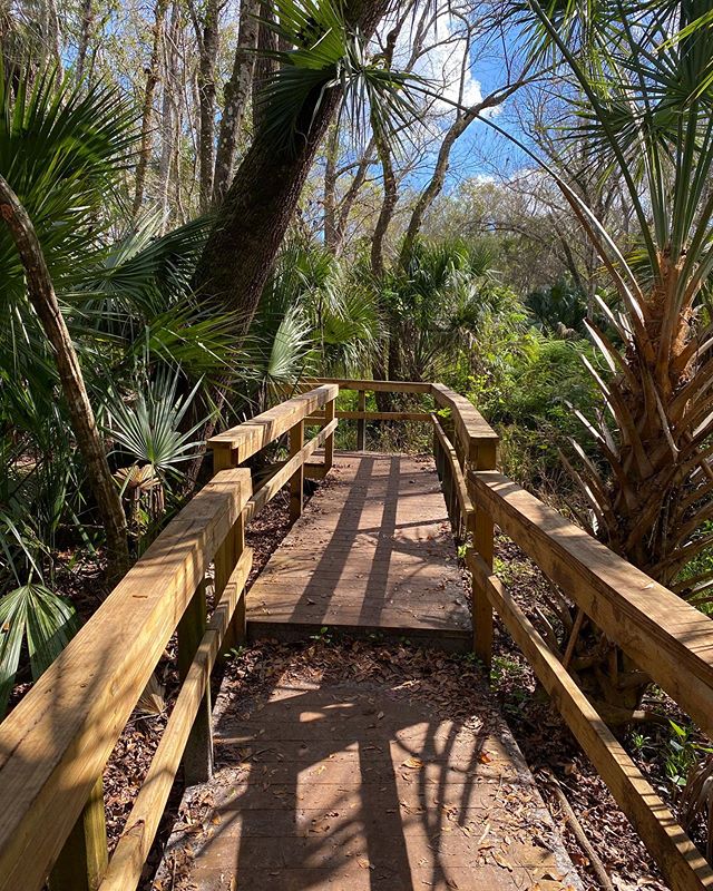 Jodicab22's tweet photo. 🌿🌴 #springhammockpreserve #lunchwalking #funeralformyfat #officeescaping #goplayoutside

📸 https://t.co/B4vhkkf418 via https://t.co/5ttQiDWlXB https://t.co/oQk0Groxux