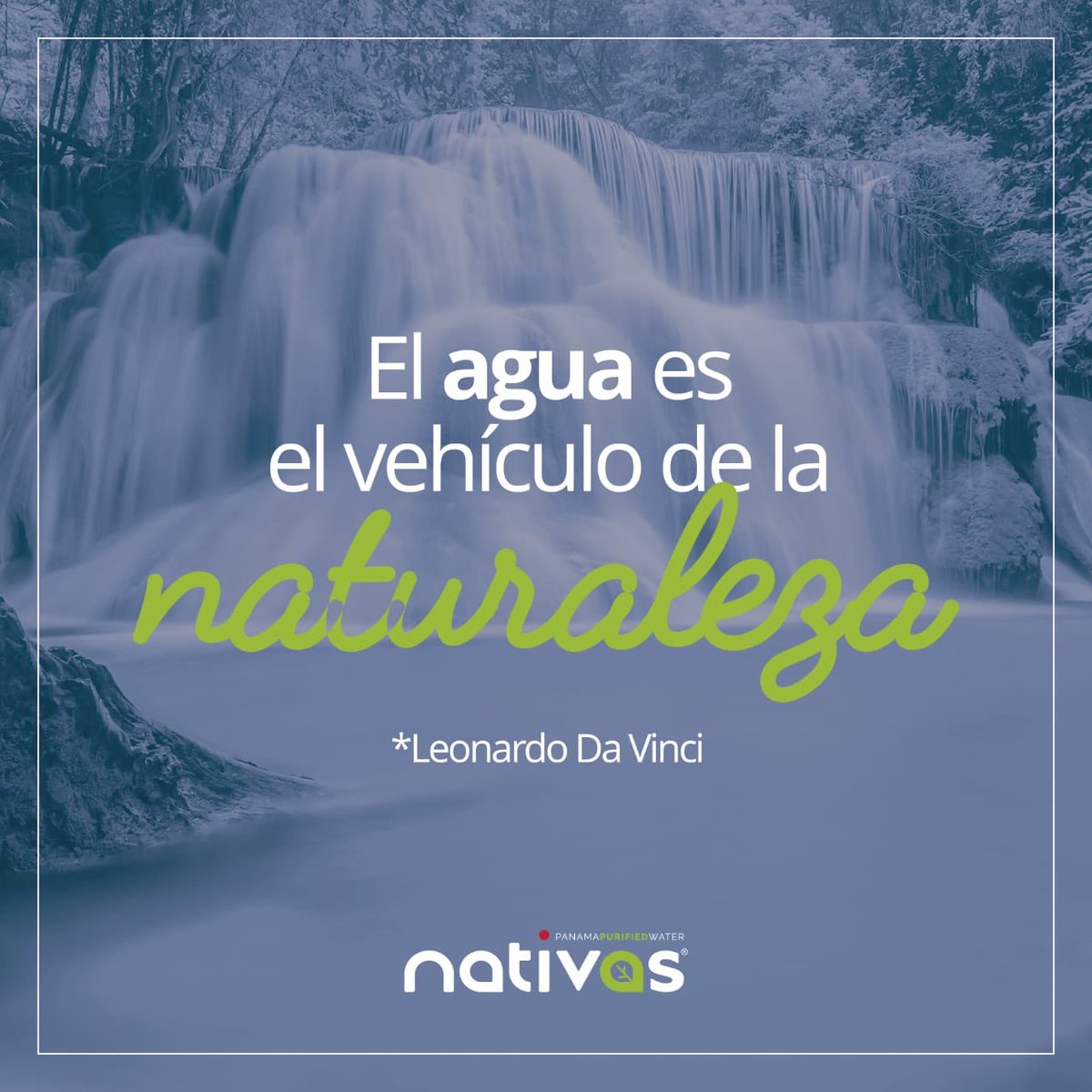 VidaNativas's tweet photo. El equilibrio de todo lo que existe 💧 @vidanativas #UnAguaUnaVida .
.
#agua #health #healthylifestyle #hidratacion  #fitness #quotes https://t.co/SDlseKXLWH