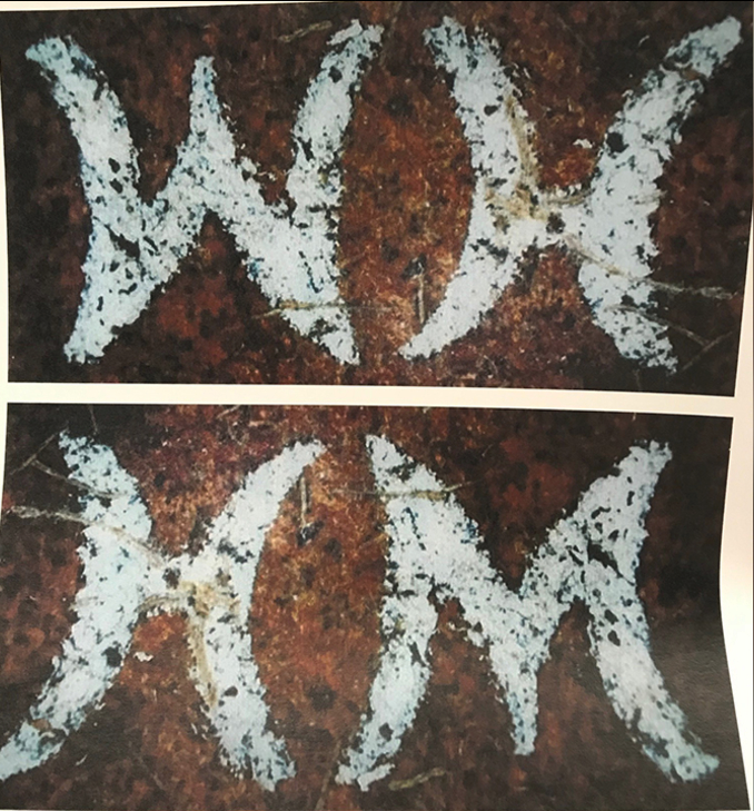 Update on Gilgo Beach Murders / Long Island Serial Killer case: they released an image of a belt w/ the initials "WH" or "HM", unveiled a new website: gilgonews.com and announced the use of #geneticgenealogy on some of the #unidentified victims. facebook.com/DNACrimeSolver…