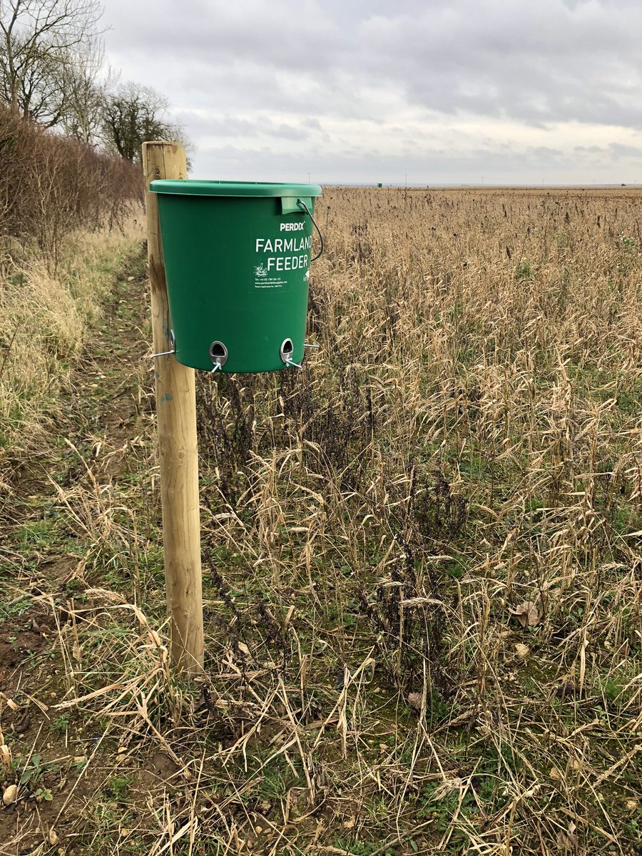 IanWilloughby16's tweet photo. Supplementary feeding wild bird cover with farm saved seed. Wheat, Sunflower, Maize, OSR @beeswaxfarming. Trying these new feeders to supplement the spring and cup feeders already in use. https://t.co/MoEh1eAgXJ