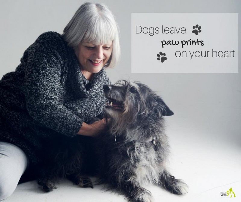 .<a href="/cloud9vets/">Cloud 9 Vets</a> End-of-Life Veterinary Care Across the UK Their vets can be with you at any time - day or night, so when the time finally comes you can have a gentle and peaceful goodbye without any stress or worry. goodvetandpetguide.com/find-a-vet-nea…