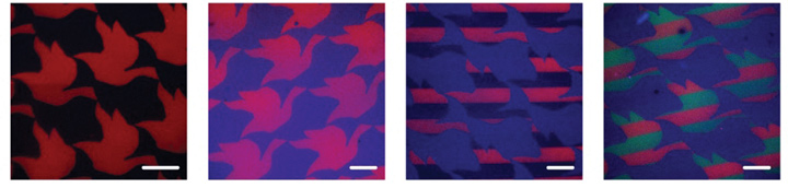 Patterning on a hydrogel. Two or three different colors and repeating shapes. 