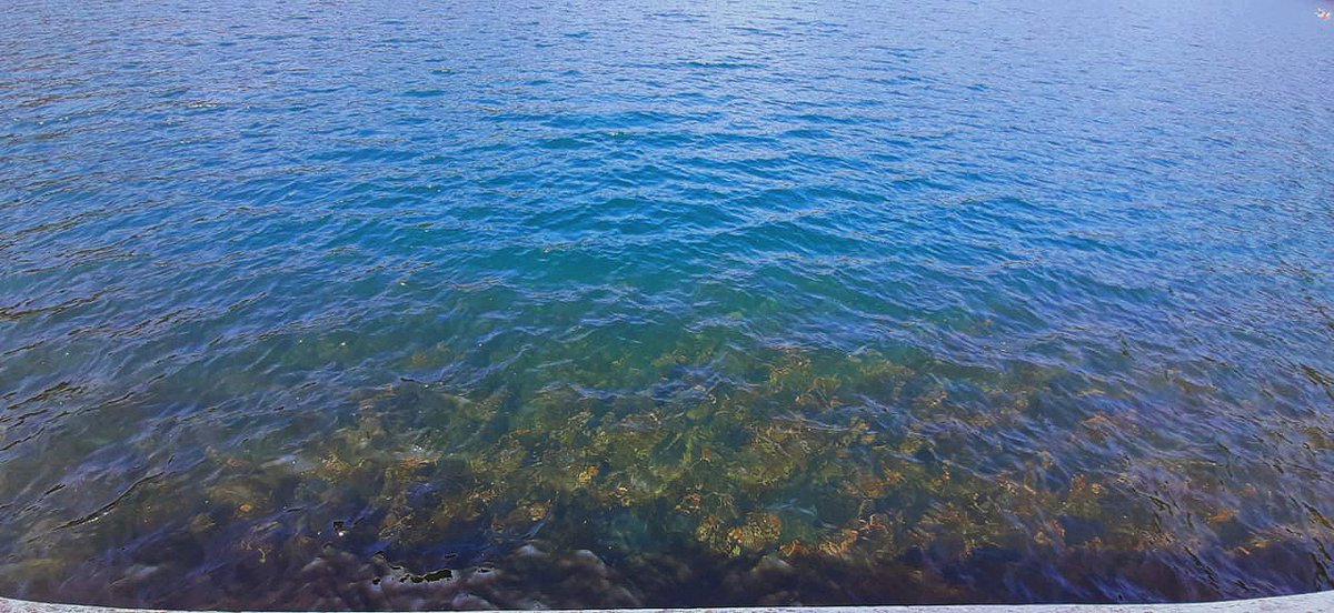 Marialvarezok25's tweet photo. Enamorada de estos paisajes♥ https://t.co/tE7Pk65Anz