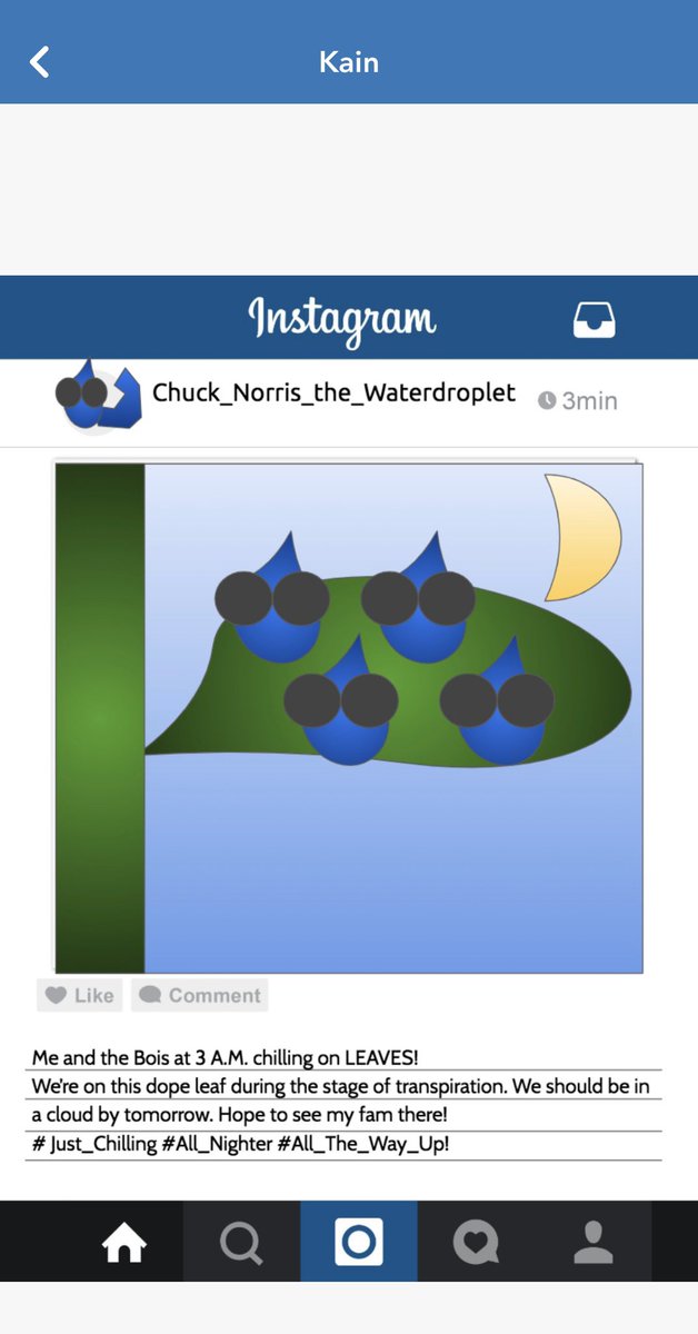 smithson5th's tweet photo. These water cycle Instagram posts are hysterical! They are all so unique to their personalities! #fortconchoiuniversity https://t.co/s7IBUurUzq